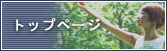 トップページ